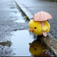 小雨天气ovo抖音达人头像