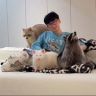 安静的浣熊抖音达人头像