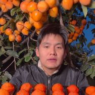 季鲜果园抖音达人头像