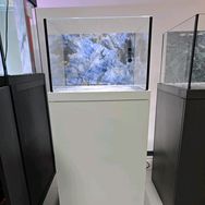 匠造金晶五线超白缸抖音达人头像