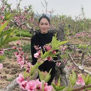 林妹子果树优选抖音达人头像