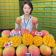 高书助农甜芒果🥭抖音号头像