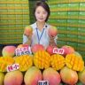 高书助农甜芒果🥭抖音号头像