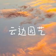 云边园艺（三角梅）抖音达人头像
