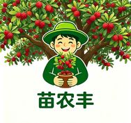 苗农丰茶白香种果树苗木专卖店抖音达人头像