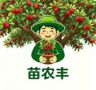 苗农丰茶白香种果树苗木专卖店抖音达人头像