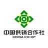 石狮市永宁供销合作社抖音达人头像