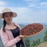 @燕子（广西八角）抖音达人头像
