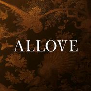 ALLOVE欧奈芙官方旗舰店抖音达人头像