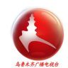 乌鲁木齐广播电视台综合广播频道抖音达人头像