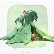 you悠抖音达人头像