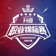 升级职业锦标赛抖音达人头像