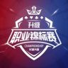 升级职业锦标赛抖音达人头像