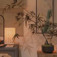 云艺飞飞飞抖音号头像