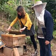 蜜蜂养殖蜂农小妹蜜糖抖音达人头像