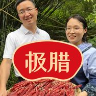 极腊官方旗舰店抖音达人头像