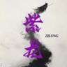 紫龙文玩·ZILONG抖音达人头像