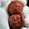 欢欢文玩核桃抖音达人头像