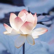 万象浩添传媒抖音号头像