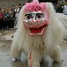 河南濮阳龙威小白狮舞狮团抖音达人头像