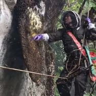 垂钓野外抖音达人头像