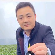雅安市茗信茶叶抖音达人头像