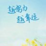 小十一橙子🍊抖音达人头像