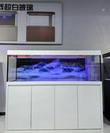 河北鱼缸运营店抖音达人头像