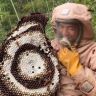 乡野子威抖音达人头像