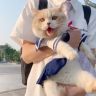 小山胖的甜蜜时光抖音达人头像