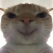meme猫儿抖音达人头像