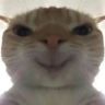 meme猫儿抖音达人头像