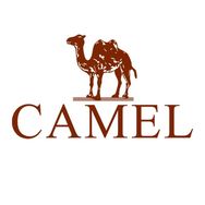 CAMEL骆驼乔戈里峰户外鞋服专卖店抖音达人头像