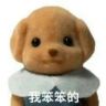 yep抖音达人头像