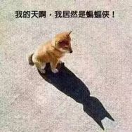 吕大侠V50抖音达人头像