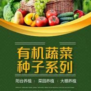 蔬菜种子姐姐抖音达人头像