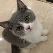 就要小薯条抖音达人头像