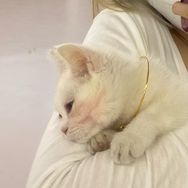 元文文抖音达人头像