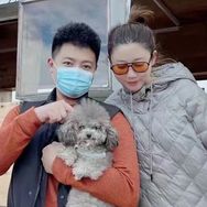 apple是只灰泰迪