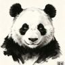熊猫观世」抖音达人头像