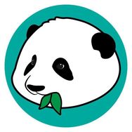 开饭了大熊猫抖音达人头像