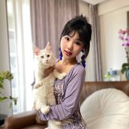 媛媛爱养猫抖音达人头像