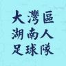 大湾区湖南人足球队抖音达人头像