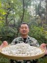 大别山英山茯苓堂抖音达人头像