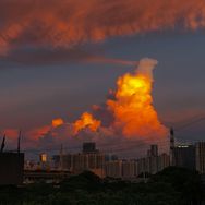 Bunny 🌇抖音达人头像