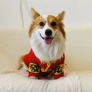黎黎明抖音达人头像
