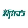 新东方智能学习抖音达人头像