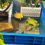 养龟🐢那些事！抖音达人头像