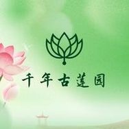 普兰店·千年古莲园抖音达人头像