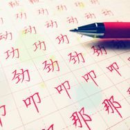 志飞习字抖音达人头像